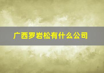 广西罗岩松有什么公司