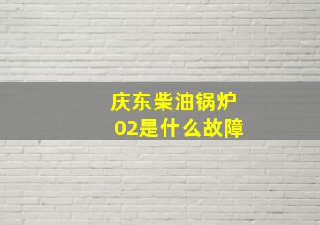 庆东柴油锅炉02是什么故障