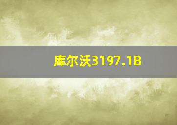 库尔沃3197.1B