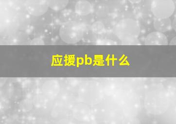 应援pb是什么