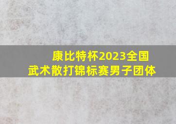 康比特杯2023全国武术散打锦标赛男子团体