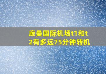 廊曼国际机场t1和t2有多远75分钟转机