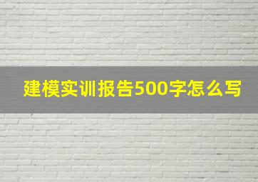 建模实训报告500字怎么写