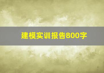 建模实训报告800字