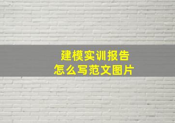 建模实训报告怎么写范文图片