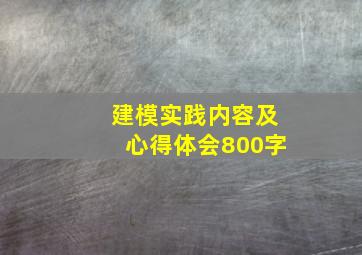 建模实践内容及心得体会800字