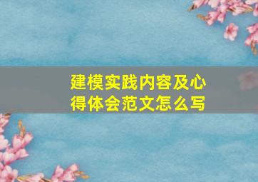 建模实践内容及心得体会范文怎么写