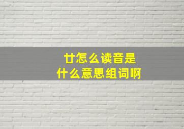 廿怎么读音是什么意思组词啊