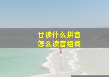 廿读什么拼音怎么读音组词