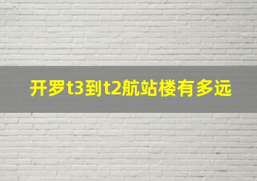 开罗t3到t2航站楼有多远