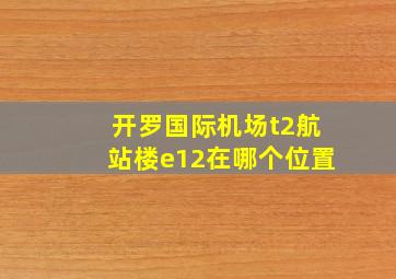 开罗国际机场t2航站楼e12在哪个位置