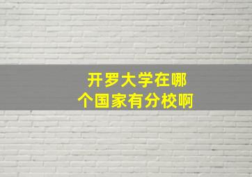 开罗大学在哪个国家有分校啊