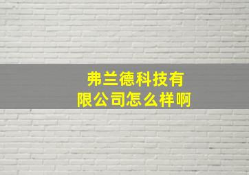 弗兰德科技有限公司怎么样啊