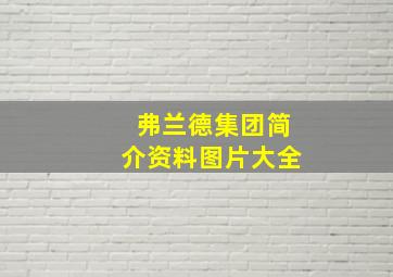 弗兰德集团简介资料图片大全