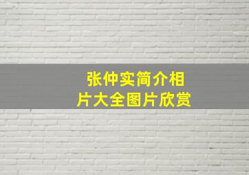 张仲实简介相片大全图片欣赏