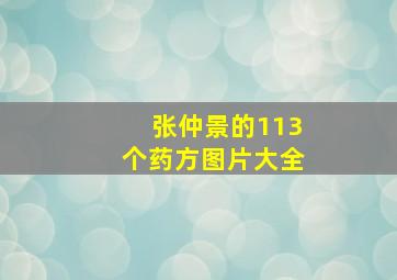 张仲景的113个药方图片大全