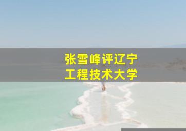 张雪峰评辽宁工程技术大学