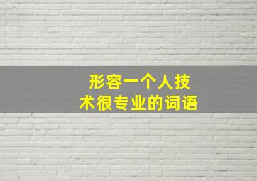 形容一个人技术很专业的词语