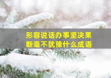 形容说话办事坚决果断毫不犹豫什么成语