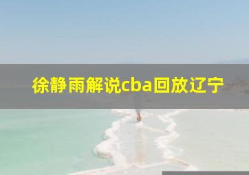 徐静雨解说cba回放辽宁