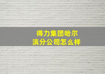 得力集团哈尔滨分公司怎么样