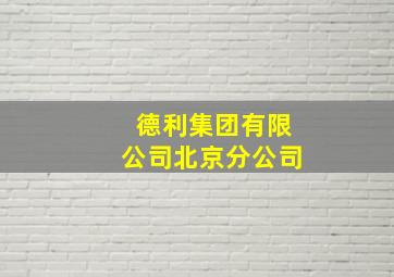 德利集团有限公司北京分公司