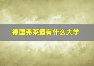 德国弗莱堡有什么大学