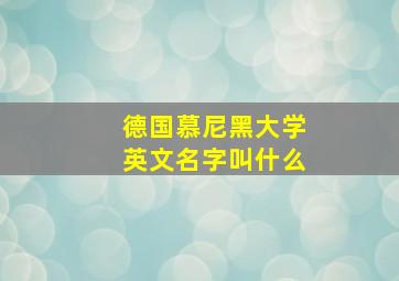 德国慕尼黑大学英文名字叫什么