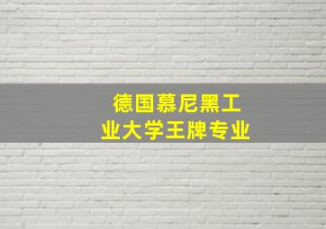 德国慕尼黑工业大学王牌专业