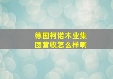 德国柯诺木业集团营收怎么样啊