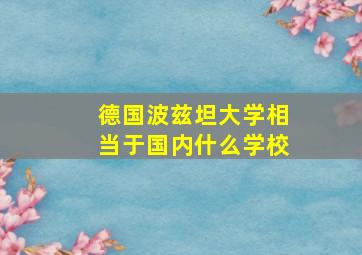 德国波兹坦大学相当于国内什么学校