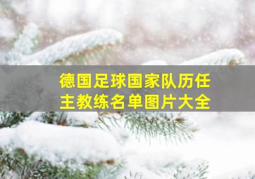 德国足球国家队历任主教练名单图片大全