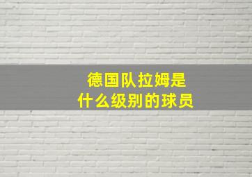 德国队拉姆是什么级别的球员