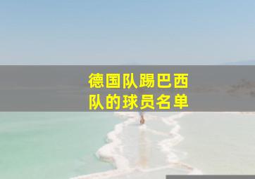 德国队踢巴西队的球员名单