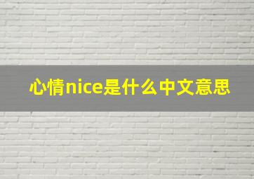 心情nice是什么中文意思