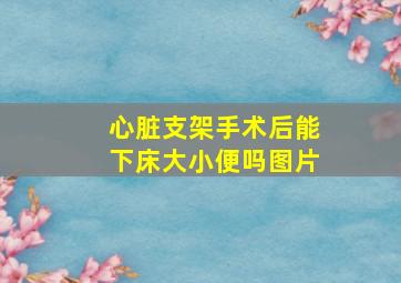 心脏支架手术后能下床大小便吗图片