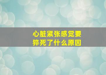 心脏紧张感觉要猝死了什么原因