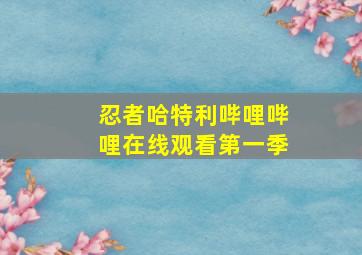 忍者哈特利哔哩哔哩在线观看第一季