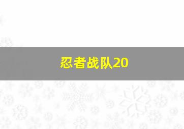 忍者战队20