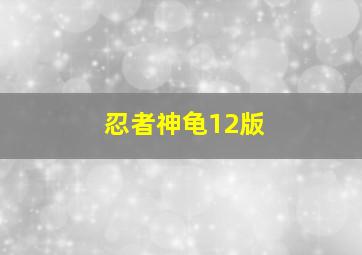 忍者神龟12版