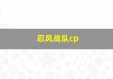 忍风战队cp