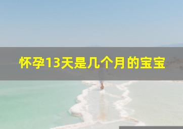 怀孕13天是几个月的宝宝