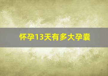 怀孕13天有多大孕囊