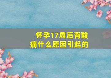 怀孕17周后背酸痛什么原因引起的