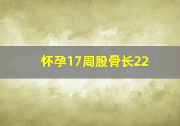 怀孕17周股骨长22