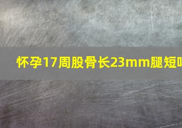 怀孕17周股骨长23mm腿短吗