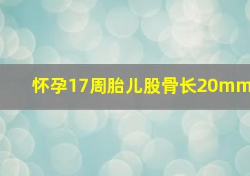 怀孕17周胎儿股骨长20mm