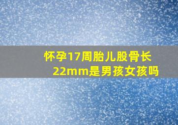 怀孕17周胎儿股骨长22mm是男孩女孩吗