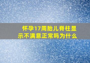 怀孕17周胎儿脊柱显示不满意正常吗为什么