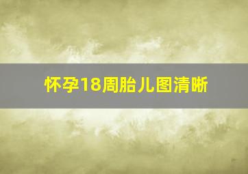 怀孕18周胎儿图清晰